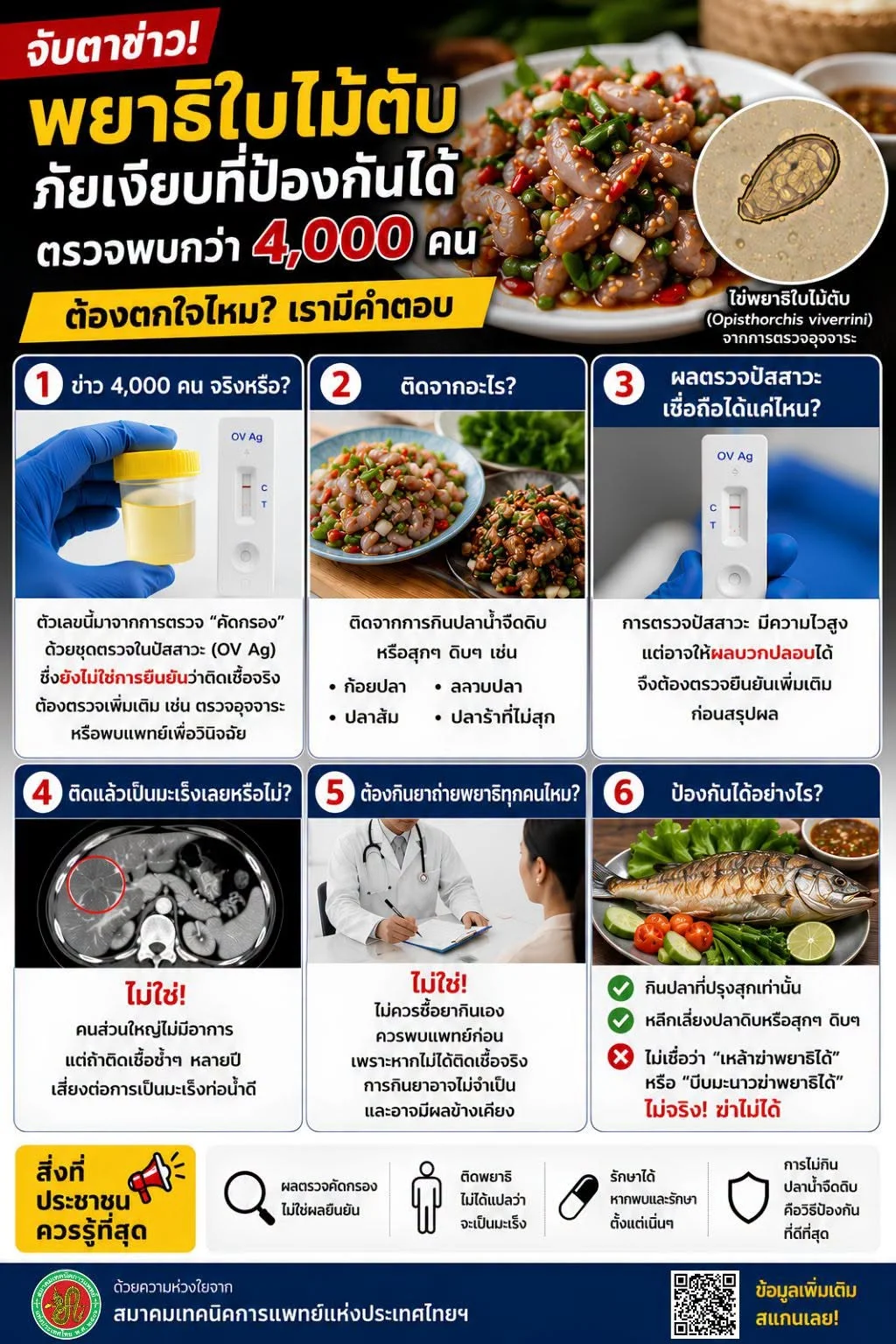 The Association of Medical Technologist of Thailand